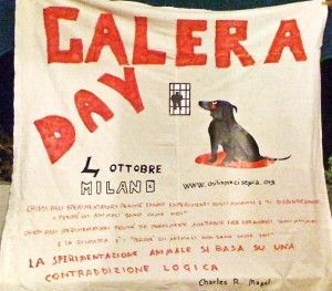 galera-day galera day