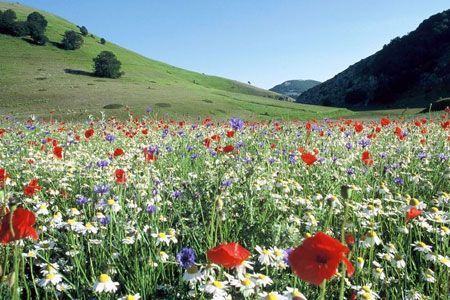 natura-relax natura relax