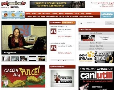 petpassion.tv petpassion.tv