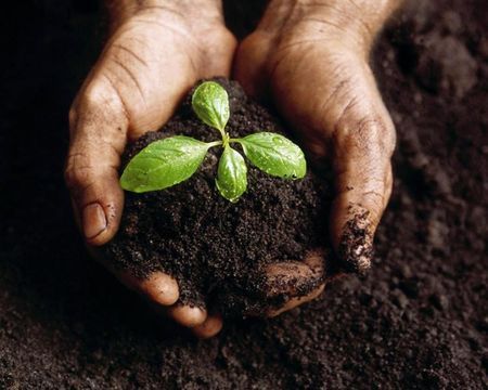 rifiuti-idee-compostaggio rifiuti idee compostaggio