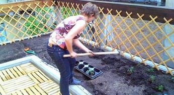 Agricoltura biologica: a Torino i cittadini coltivano sui tetti