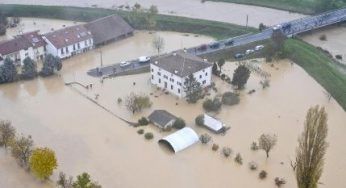 Alluvione in Veneto: smaltire le carcasse di animali costa di più