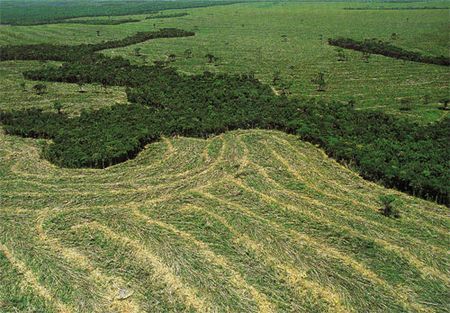 deforestazione-riduzione-amazzonia deforestazione riduzione amazzonia