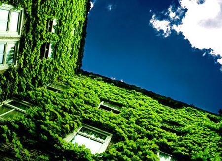 green-economy-onaee-economia-sostenibile green economy onaee economia sostenibile