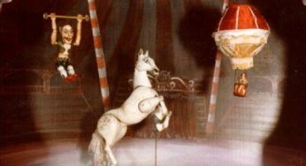 LAV: petizione contro il circo con animali