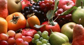 Menu feste 2010: ricorso ai prodotti del territorio