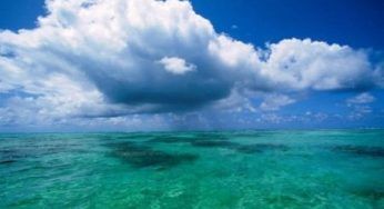 Mutamenti climatici: Greenpeace, aumentano la mortalità