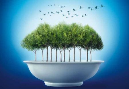 alimentazione-sostenibile-2050 alimentazione sostenibile 2050