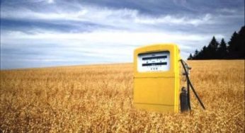 Biocarburanti: ecco quando diaremo l'addio al diesel