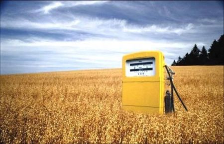 biocarburante-addio-diesel
