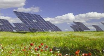 Energia solare: crescono le cooperazioni con industrie cinesi