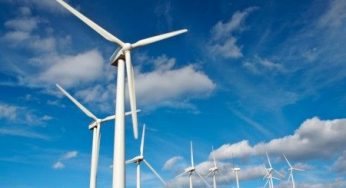 Energie rinnovabili: progetti ecosostenibili per il Brunei