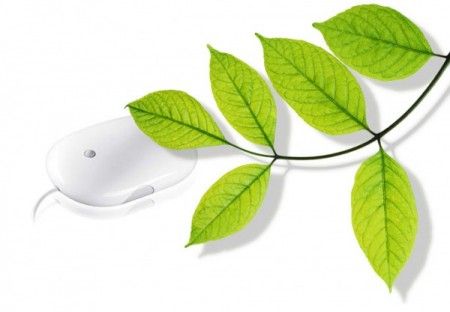 impatto-ambientale-zero-impact-web