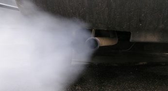 Inquinamento ambientale: imputati più gli uomini che le donne