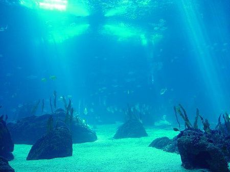 inquinamento mare zone senza ossigeno oceani