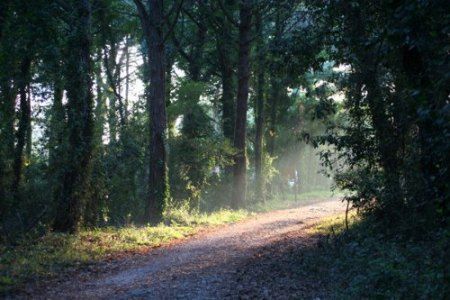 parchi italiani parco circeo equilibri naturali