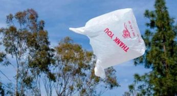 Sostenibilità ambientale: consigli per l'abbandono delle buste di plastica