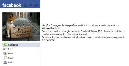 animali-profilo-facebook animali profilo facebook