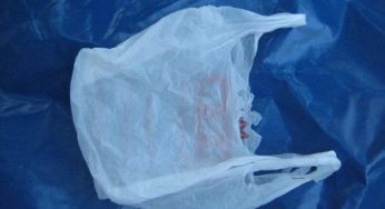 Contro le buste in plastica si mobilita anche l'Istituto per la Promozione delle Plastiche da Riciclo