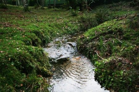 foreste-nazione-europa-piu-verde