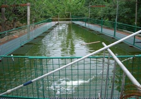 pesca-biologica-futuro