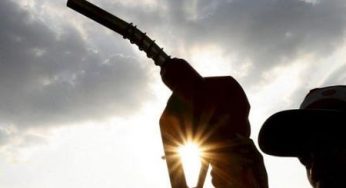 Prezzi della benzina: un ecocomputer per i comportamenti ecocompatibili