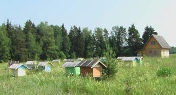 Villaggio ecosostenibile in Russia con case biodegradabili