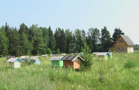 villaggio ecosostenibile russia case biodegradabili