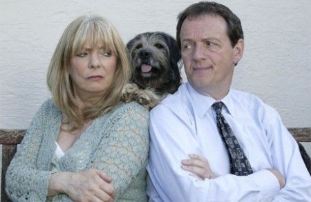 animali-divorzi animali divorzi