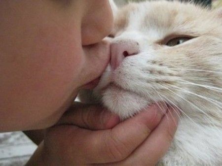 baciare-cani-gatti baciare cani gatti