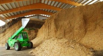 Energia pulita: elettricità dagli scarti agricoli