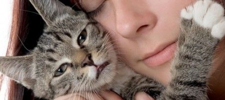 gatti-donne gatti donne