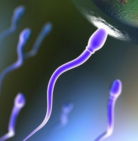 infertilita-maschile-inquinamento infertilita maschile inquinamento