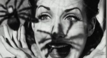 Paura degli animali? A Roma c'è un corso per vincerla