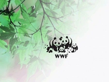 wwf-dati-falsi-rinnovabili