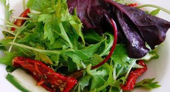 Pasqua 2011: pranzo vegetariano per la protezione degli animali