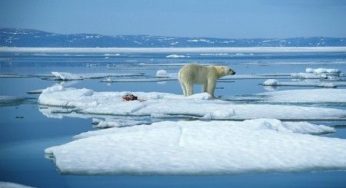 Cambiamento climatico: la riduzione dei ghiacciai artici