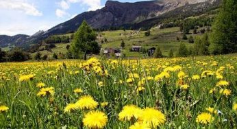 Turismo sostenibile: per gli Italiani vacanze a chilometri zero