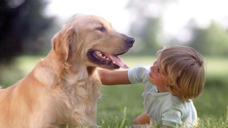 animali bambini funzionamento pet therapy