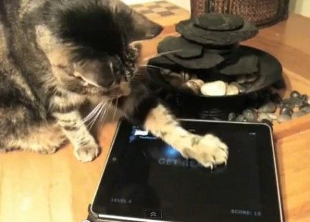 app-ipad-gatti app ipad gatti