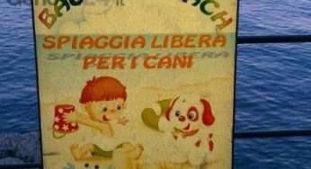 Spiagge per cani: riaperta la Bau Bau Beach a Santa Margherita Ligure