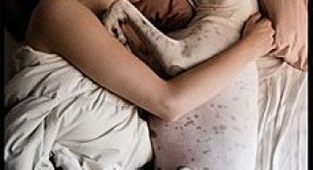 Dormire con il cane o gatto può trasmettere malattie