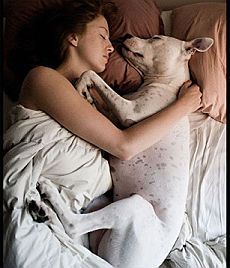 dormire-con-il-cane dormire con il cane