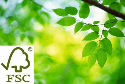 marchio-fsc-foreste marchio fsc foreste
