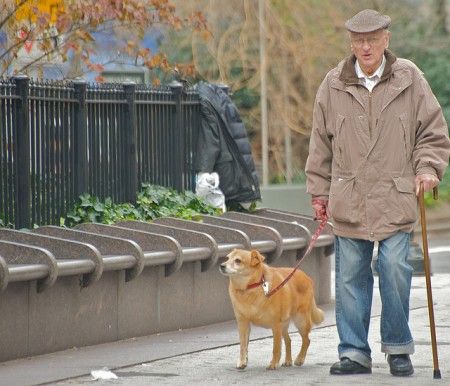 cane-nonno cane nonno