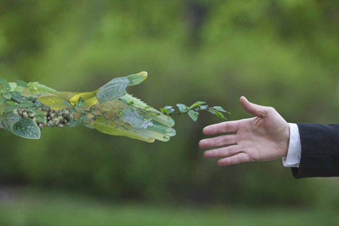 Green economy italiana Green economy italiana