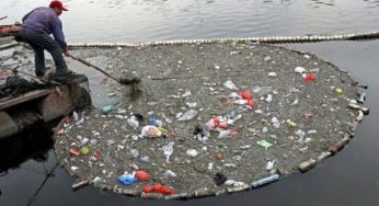 L'Adriatico a rischio a causa dei cantieri e dell'inquinamento