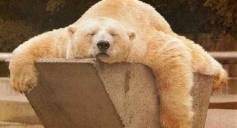 Impatto ambientale e sprechi: ecco gli effetti collaterali della pigrizia