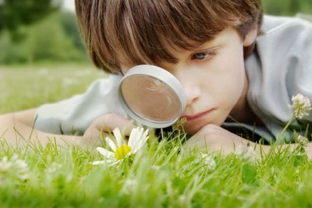 sostenibilita ambientale lettera al pianeta