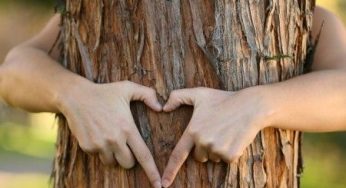 Una vita green? Molti italiani la rincorrono